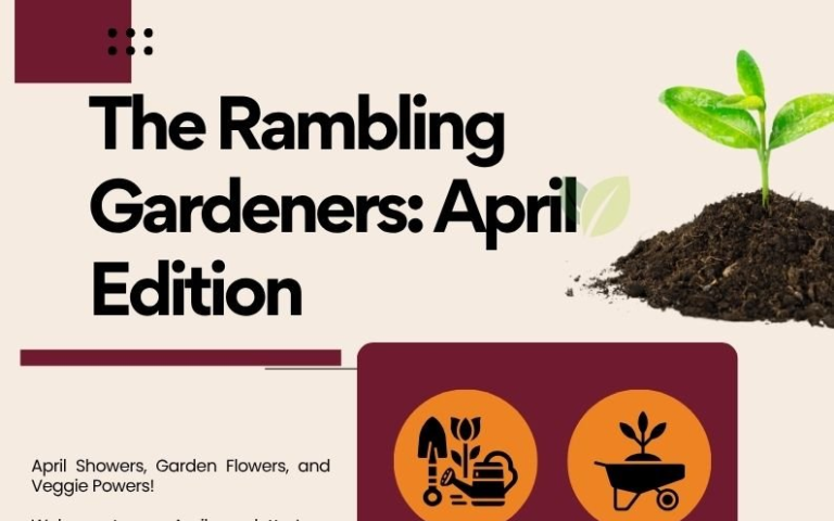 Apr 2026 Newsletter Cover (card)