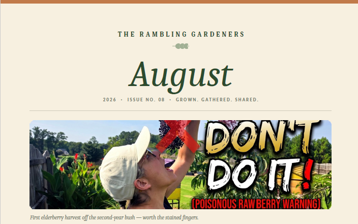 August 2026 Newsletter Cover (card)