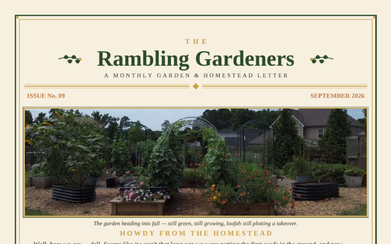 Sept 2026 Newsletter Cover (card)